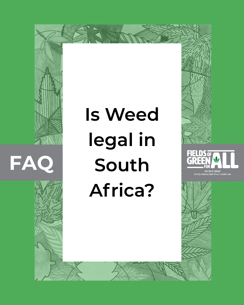 Is Weed Legal In South Africa Fields Of Green For ALL