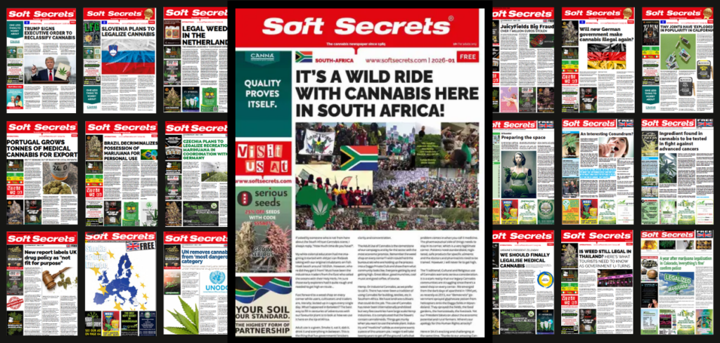 Soft Secrets SA launch blog header